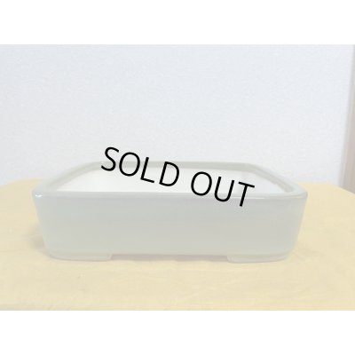 画像1: No.SA5928 鴻陽