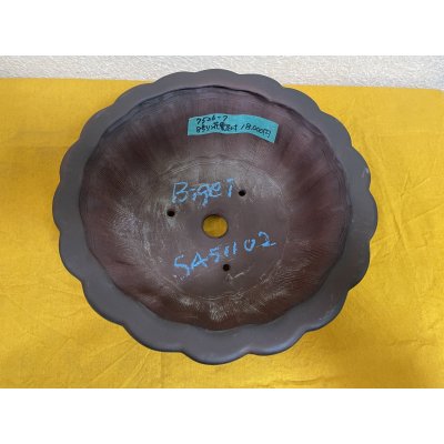 画像2: No.SA51102 美芸