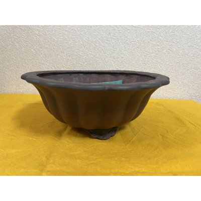 画像1: No.SA51102 美芸