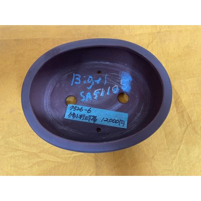 画像2: No.SA51105 美芸