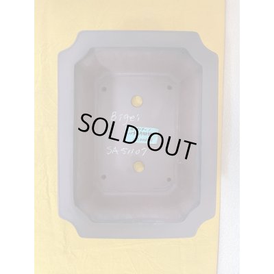 画像3: No.SA51107 美芸