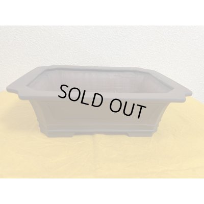 画像1: No.SA51107 美芸