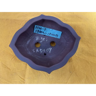 画像2: No.SA51109 美芸