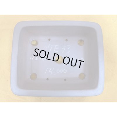 画像3: No.SA51113 黎鳳