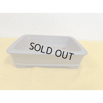 画像1: No.SA51113 黎鳳