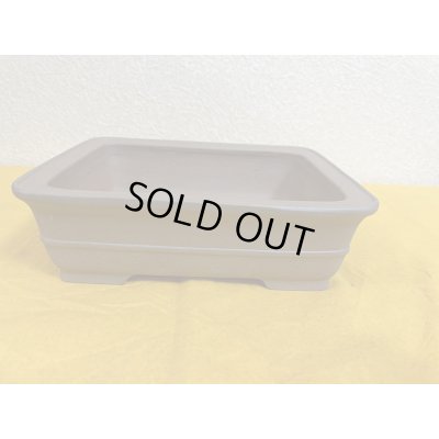 画像1: No.SA51114 黎鳳