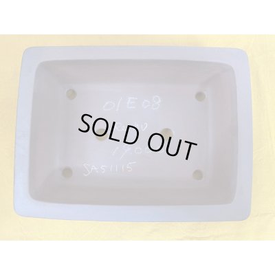 画像3: No.SA51114 黎鳳