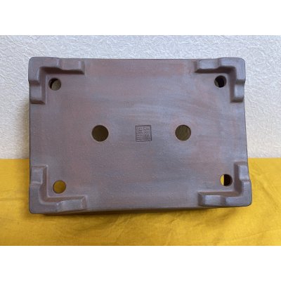 画像3: No.SA51115 黎鳳