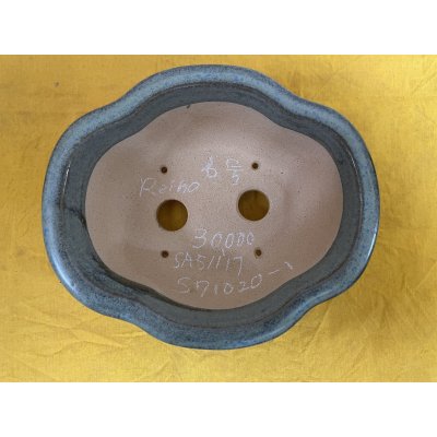 画像2: No.SA51117 黎鳳