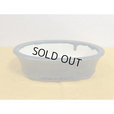 画像1: No.SA51119 鴻陽