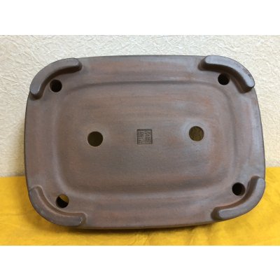 画像3: No.SA51134 黎鳳