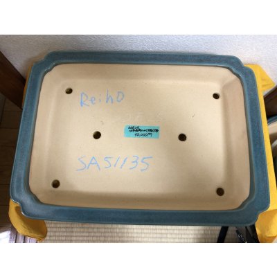 画像2: No.SA51135 黎鳳