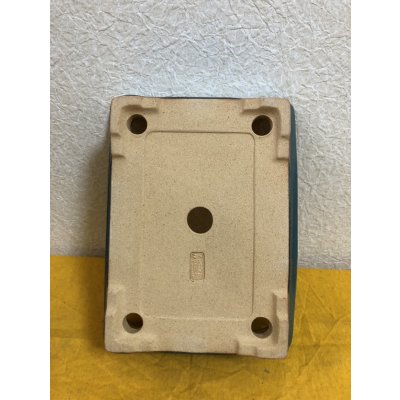 画像3: No.SA51136 黎鳳