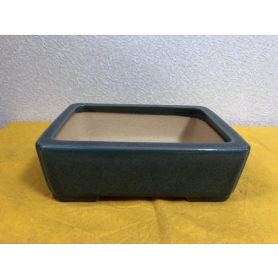 画像1: No.SA51137 黎鳳