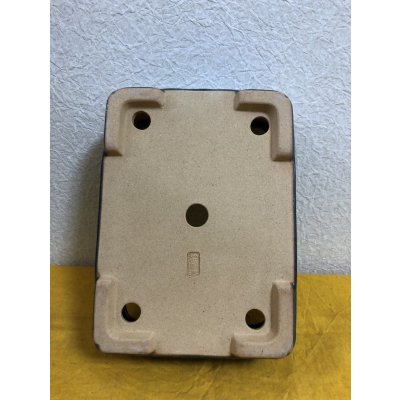 画像3: No.SA51137 黎鳳