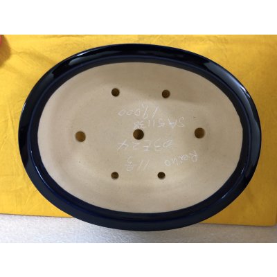 画像2: No.SA51138 黎鳳