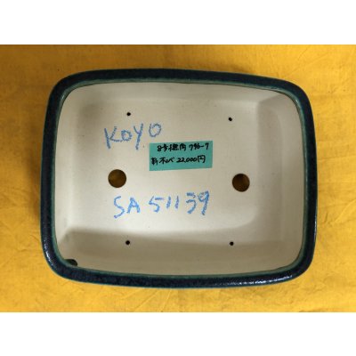 画像2: No.SA51139 鴻陽