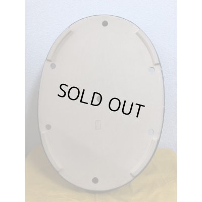 画像3: No.SA51143 黎鳳