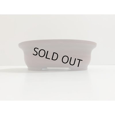 画像1: No.DA4729 美芸