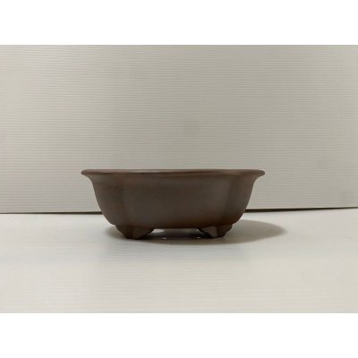 画像1: No.DA4854 黎鳳