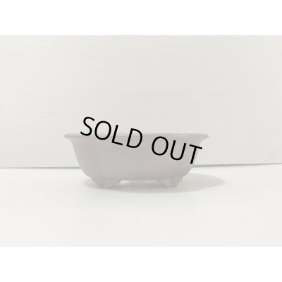 画像1: No.DA4854 黎鳳