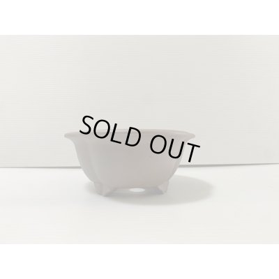 画像2: No.DA4854 黎鳳