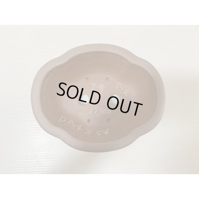 画像4: No.DA4854 黎鳳