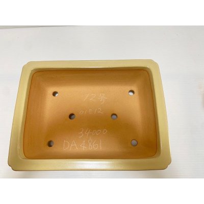 画像4: No.DA4861 黎鳳