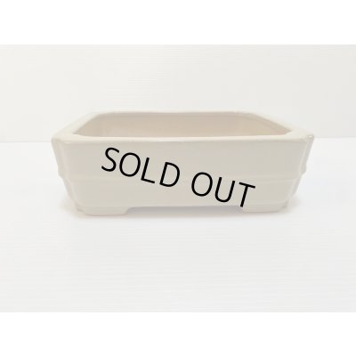 画像1: No.DA4867 黎鳳