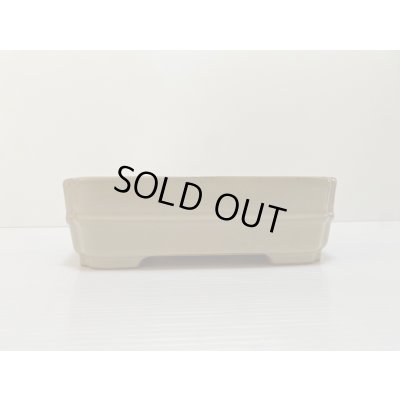 画像2: No.DA4867 黎鳳