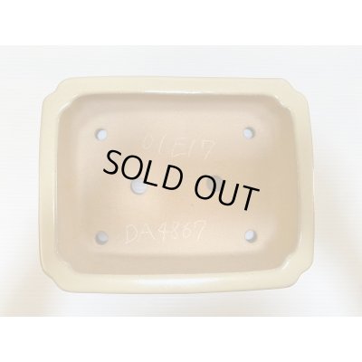 画像4: No.DA4867 黎鳳