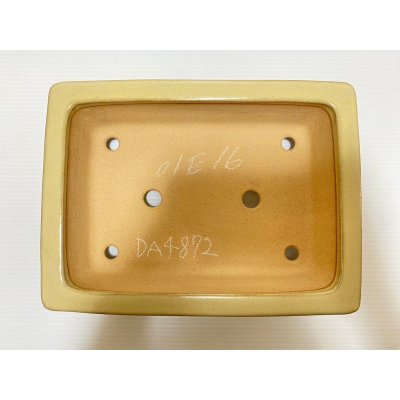画像4: No.DA4872 黎鳳