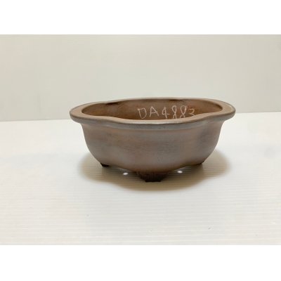画像1: No.DA4883 黎鳳