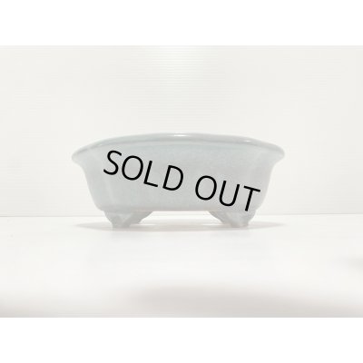 画像2: No.DA4888 黎鳳