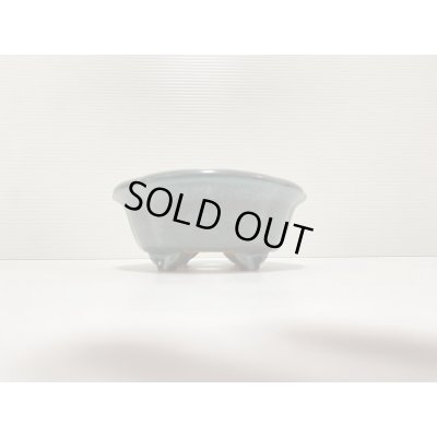 画像3: No.DA4888 黎鳳