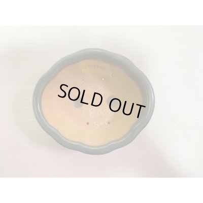 画像4: No.DA4888 黎鳳