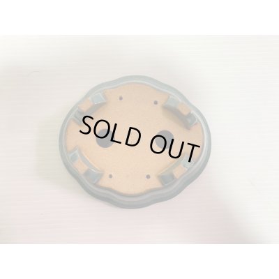 画像5: No.DA4888 黎鳳