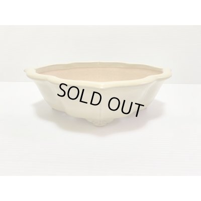 画像1: No.DA4890 黎鳳