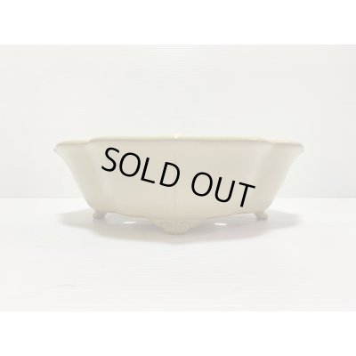 画像2: No.DA4890 黎鳳