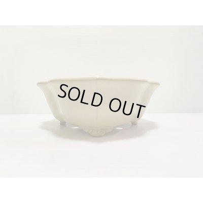 画像3: No.DA4890 黎鳳