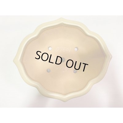 画像4: No.DA4890 黎鳳