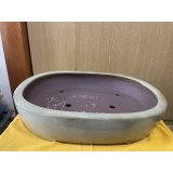 No.SA6407 角山　15号小判切立　白