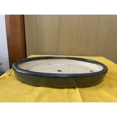 画像1: No.SA6411 黎鳳　10号小判中浅逸公形　ナマコ