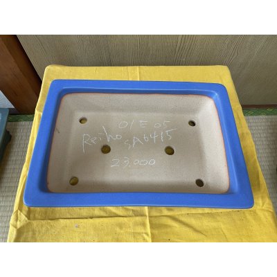 画像2: No.SA6415 黎鳳　11号長角反形下帯　均