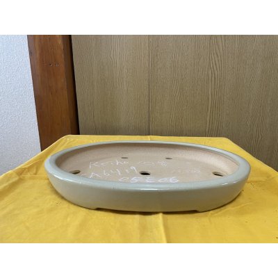 画像1: No.SA6419 黎鳳　10号小判中浅逸公形　白