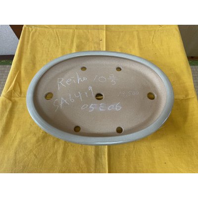 画像2: No.SA6419 黎鳳　10号小判中浅逸公形　白