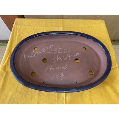 画像2: No.SA6420 角山　12号小判浅エン付　ルリ