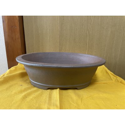 画像1: No.SA6426 黎鳳　10号小判大深　紫泥