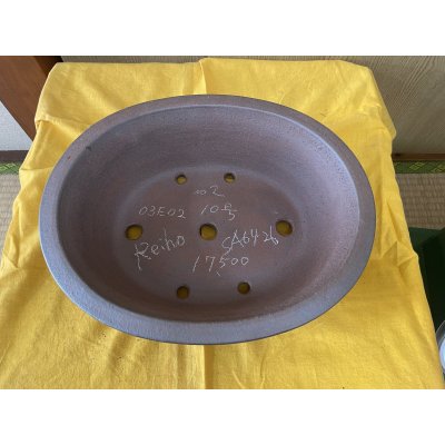 画像2: No.SA6426 黎鳳　10号小判大深　紫泥