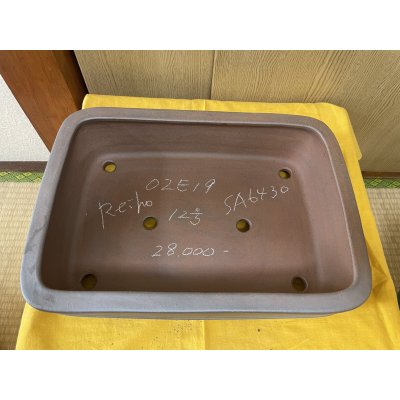 画像2: No.SA6430 黎鳳　12号長角撫角中帯　紫泥